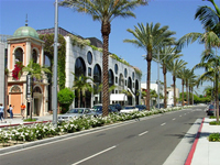 Rodeo Drive